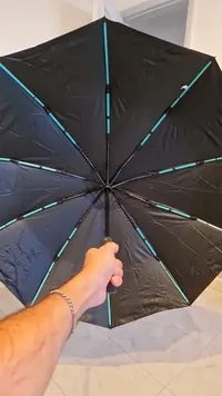 Haven Umbrella customer photo 2: Really cool umbrella, I loved it!