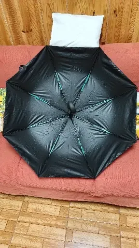Haven Umbrella customer photo, Oct 10, 2026: Very satisfied