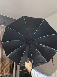 Haven Umbrella customer photo 2: The quality of the umbrella is very good.