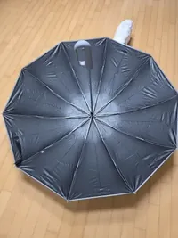Haven Umbrella customer photo 2: Looks sturdy.