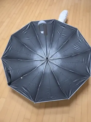 Haven Umbrella customer photo, Oct 10, 2026: Looks sturdy.