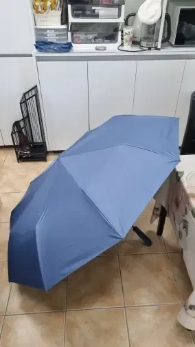 Haven Umbrella customer photo, Oct 10, 2026: It was delivered very quickly, which is great.