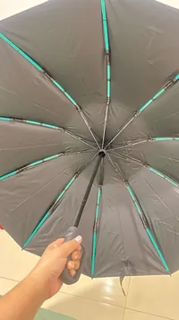 Haven Umbrella customer photo 2: I liked it, well reinforced.