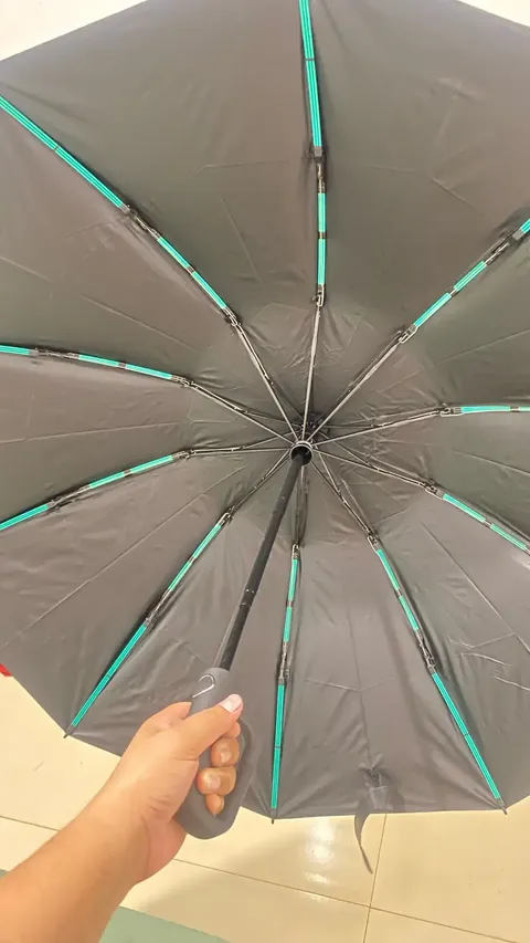 Haven Umbrella customer photo, Oct 10, 2026: I liked it, well reinforced.