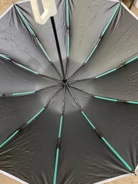 Haven Umbrella customer photo 2: Very good and sturdy umbrella