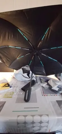 Haven Umbrella customer photo 1: Fast delivery!