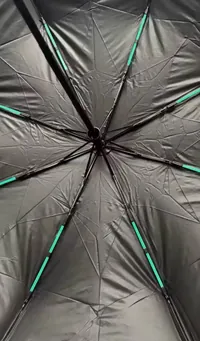 Haven Umbrella customer photo 1: Very functional 👍🏼
