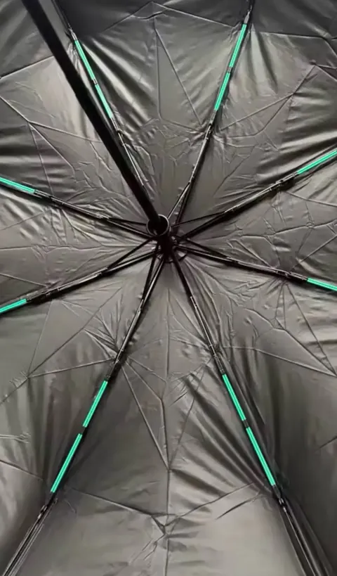 Haven Umbrella customer photo, Oct 10, 2026: Very functional 👍🏼