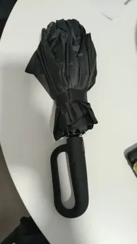 Haven Umbrella customer photo 1: It is fully automatic, takes up little space, and looks sturdy and wind-resistant.