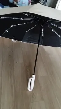 Haven Umbrella customer photo 1: Umbrella received very quickly!