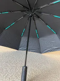 Haven Umbrella customer photo 3: Fast delivery, looks sturdy.